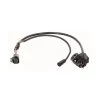 Bosch Kabelsatz Rahmenakku 370mm Y-Kabel Power+CAN Act/Perf 2 Bosch Kabelsatz Rahmenakku 370mm Y-Kabel Power+CAN Act/Perf -E-Bike Zubehör bosch kabelsatz rahmenakku 370mm y kabel powercan act perf