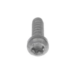 Bosch Schraube Torx, Untere Halteschale Rahmenakku 2011/2012/Classic+
